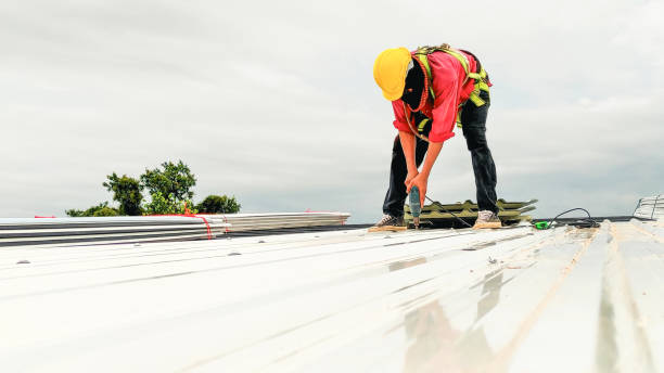 Best Solar Panel Roofing Installation  in Covington, VA
